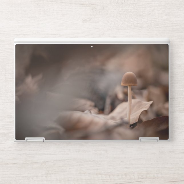 Small Mushroom Nature Photo HP Laptop Skin (Front)