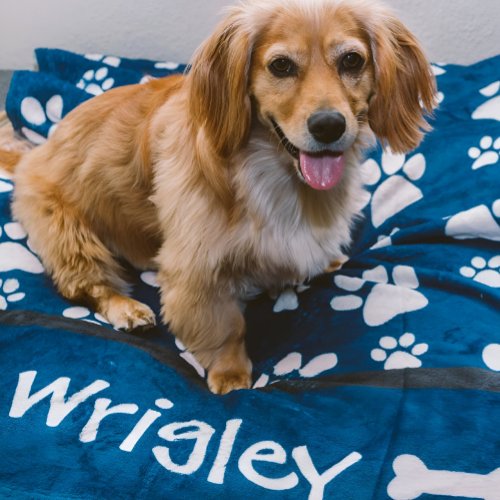 Small Navy Dog Blanket Personalized Paw Prints