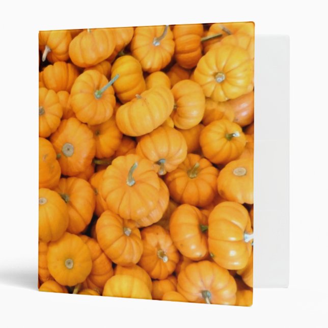 Small Orange Fall Harvest Pumpkins 3 Ring Binder (Front/Inside)