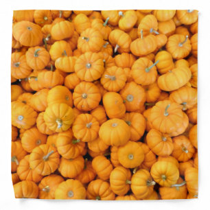 Small Orange Fall Harvest Pumpkins Bandana