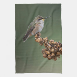 Small Orange Hummingbird Kitchen Towel