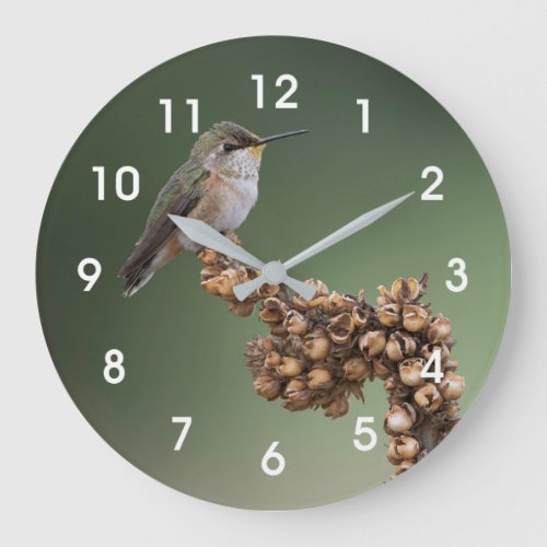 Small Orange Hummingbird Large Clock