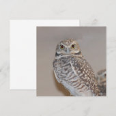 Small Owl (Front/Back)