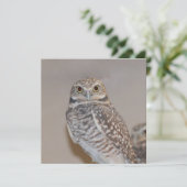Small Owl (Standing Front)