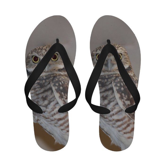 Small Owl Flip Flops