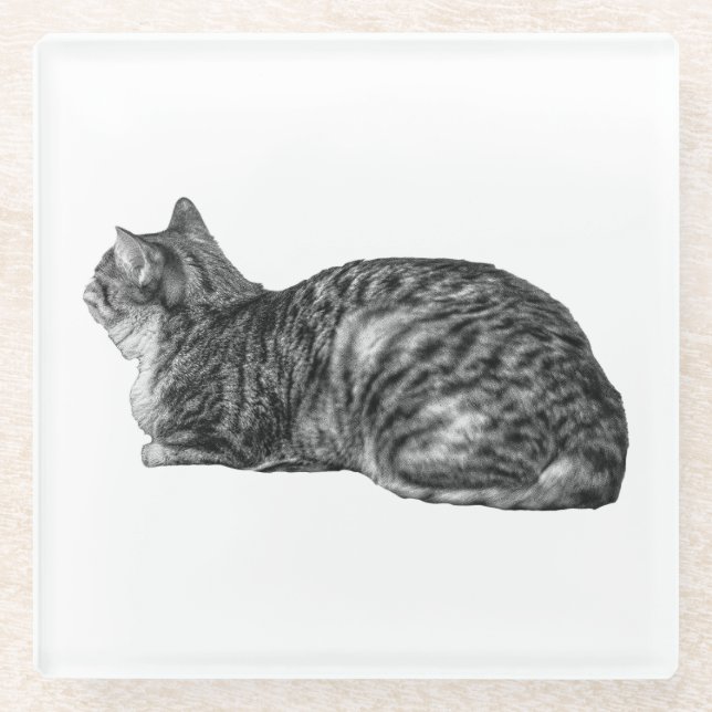 Small Pause, Tabby Poise Glass Coaster (Front)