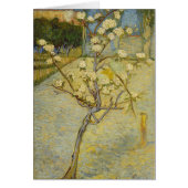 Small pear tree in blossom Card (Front)