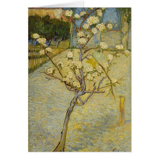 Small pear tree in blossom Card (Front)