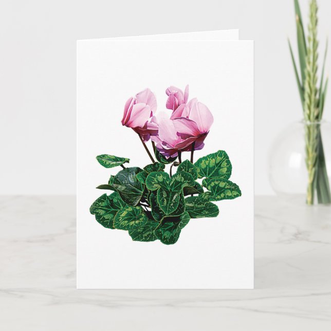 Small Pink Cyclamen Holiday Card (Front)
