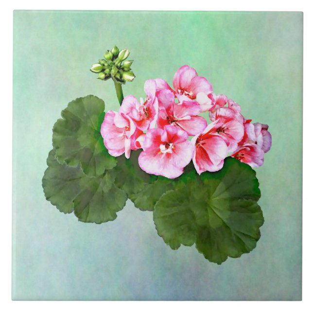 Small  Pink Geranium Ceramic Tile (Front)