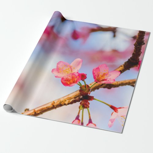 Small Pink Sakura Beauties In Spring Wrapping Paper