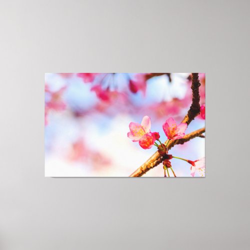 Small Pink Sakura Beauties In Springtime Canvas Print