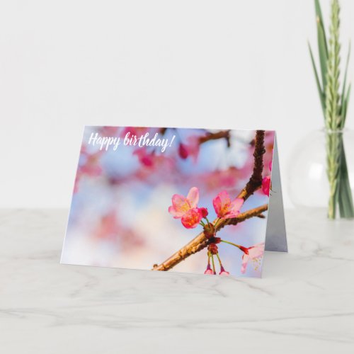 Small Pink Sakura Beauties In Springtime Card