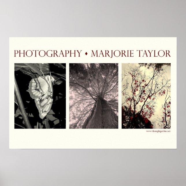 Small Poster (22.5 x 15 in.) (Front)