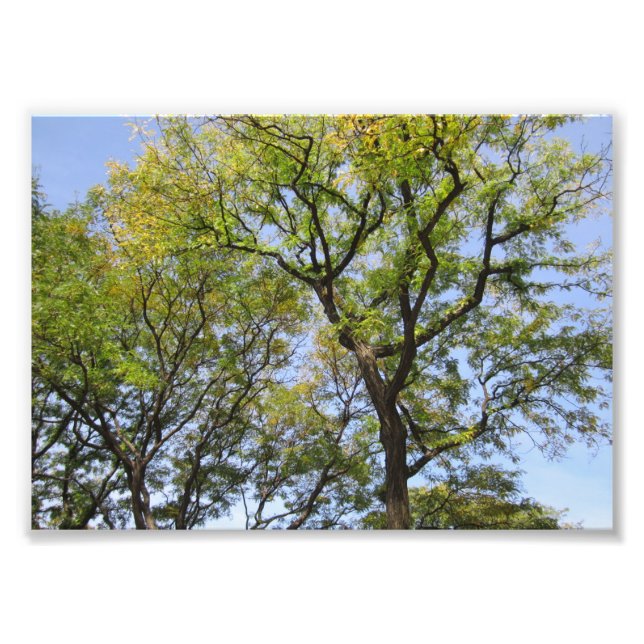 SMALL Poster # L003 on Photograph (Front)