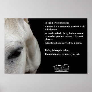 Small Poster with a white horse and a quote
