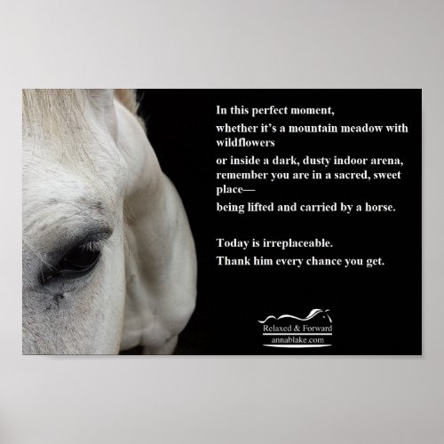 Small Poster with a white horse and a quote 
