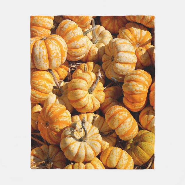 small pumpkins in stack fleece blanket (Front)