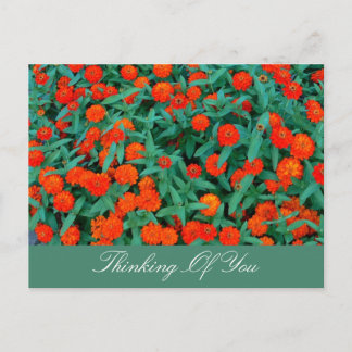 SMALL RED FLOWERS/GREEN FOLIAGE/THINKING OF YOU POSTCARD