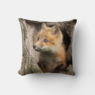Small Red Fox in a Tree  Hollow Throw Pillow