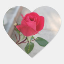 Small red rose flower on heart sticker
