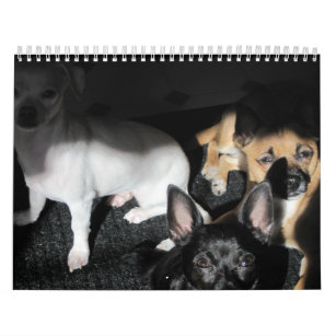 Small Rescue Dogs 12-Month Calendar