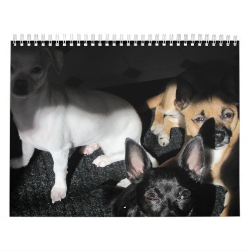 Small Rescue Dogs 12_Month Calendar