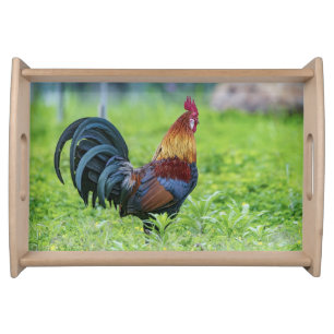 Small Rooster Wooden Serving Tray
