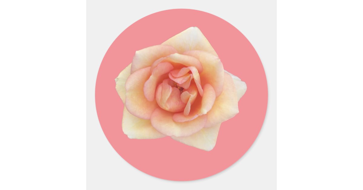 Small Roses Sticker Small Rose Sticker | Zazzle