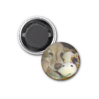 Small  Round Barticus And Giraffe Magnet by dbrown0310 at Zazzle