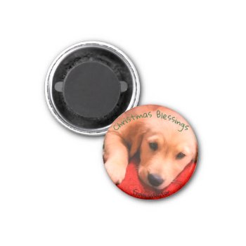 Small  Round Golden Retriever Puppy Magnet by dbrown0310 at Zazzle