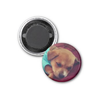 Small  Round Leeloo Puppy Christmas Magnet by dbrown0310 at Zazzle