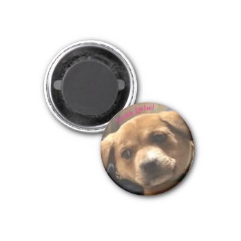 Small  Round Sassy Leeloo! Magnet by dbrown0310 at Zazzle
