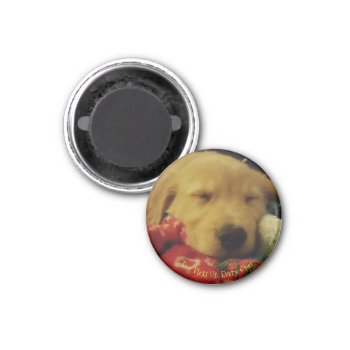 Small   Round Winston Puppy Christmas Magnet by dbrown0310 at Zazzle
