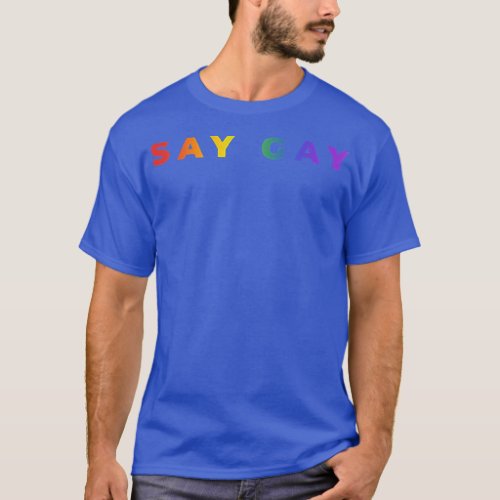 Small Say Gay Rainbow Subtle Pride Florida Equalit T_Shirt