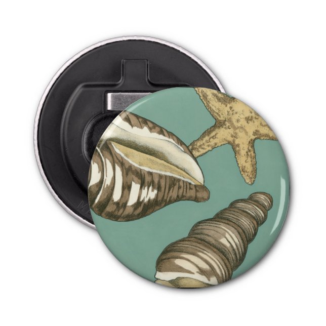 Small Shell Trio on Teal Bottle Opener (Front)