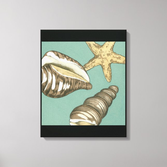 Small Shell Trio on Teal Canvas Print (Front)
