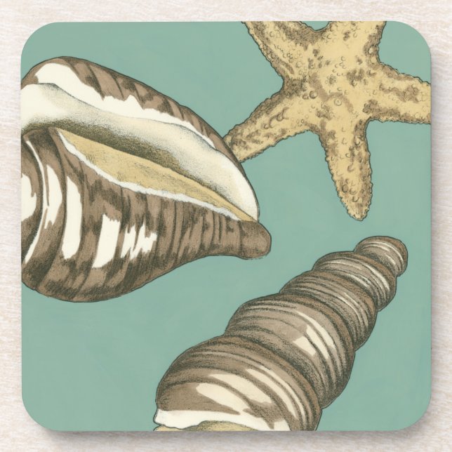 Small Shell Trio on Teal Coaster (Front)