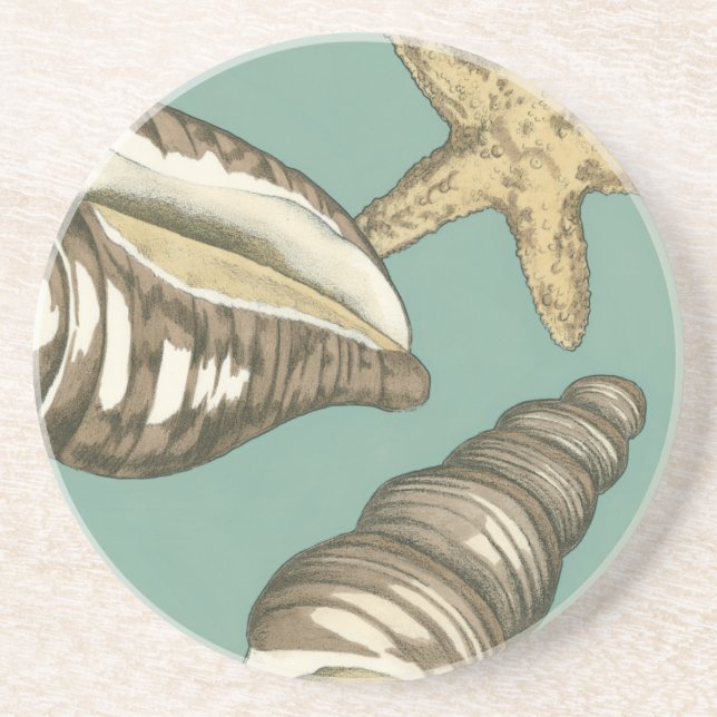 Small Shell Trio on Teal Drink Coaster (Front)