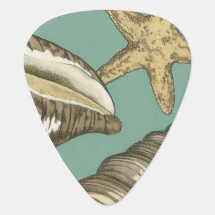 Small Shell Trio on Teal Guitar Pick