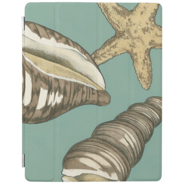 Small Shell Trio on Teal iPad Smart Cover (Front)