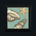 Small Shell Trio on Teal Jewelry Box<br><div class="desc">Megan Meagher is known for her simple art pieces. This image captures the simplicity of the seashore's treasures,  of a conch shells and a starfish. Meagher encompasses a teal background in her image to contrast these treasures. Get this fine art print today on your Zazzle product today.</div>