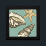 Small Shell Trio on Teal Jewelry Box<br><div class="desc">Megan Meagher is known for her simple art pieces. This image captures the simplicity of the seashore's treasures,  of a conch shells and a starfish. Meagher encompasses a teal background in her image to contrast these treasures. Get this fine art print today on your Zazzle product today.</div>