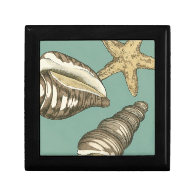 Small Shell Trio on Teal Jewelry Box (Front)