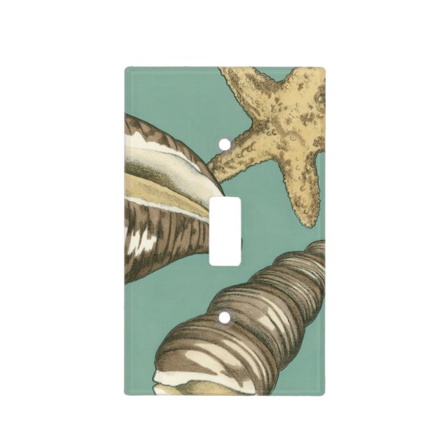 Small Shell Trio on Teal Light Switch Cover (Front)