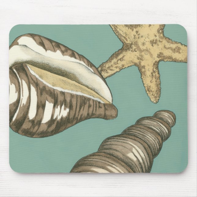 Small Shell Trio on Teal Mouse Pad (Front)