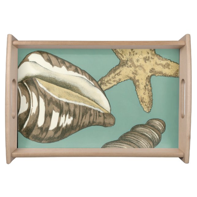 Small Shell Trio on Teal Serving Tray (Front)