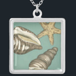 Small Shell Trio on Teal Silver Plated Necklace<br><div class="desc">Megan Meagher is known for her simple art pieces. This image captures the simplicity of the seashore's treasures,  of a conch shells and a starfish. Meagher encompasses a teal background in her image to contrast these treasures. Get this fine art print today on your Zazzle product today.</div>