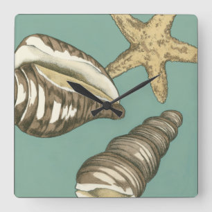 Small Shell Trio on Teal Square Wall Clock