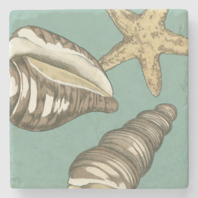 Small Shell Trio on Teal Stone Coaster (Front)